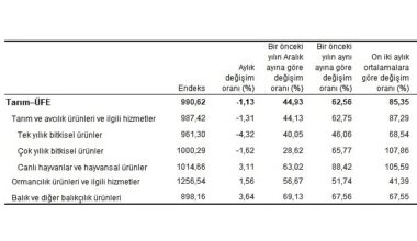 Tarım ürünleri üretici fiyat endeksi (Tarım-ÜFE) yıllık yüzde 62,56 arttı, aylık yüzde 1,13 azaldı