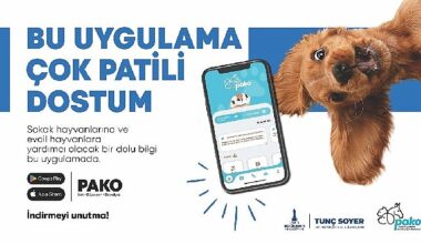 Büyükşehir'den can dostlar için “Pako" mobil uygulaması