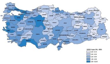 Gayrisafi Yurt İçi Hasıladan (GSYH) en yüksek payı yüzde 30,4 ile İstanbul aldı