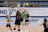 Nilüfer'in sultanları evinde galip