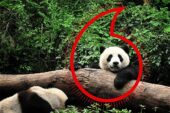 Vodafone ve WWF'ten “Gezegen İçin Bir Milyon Telefon" kampanyası