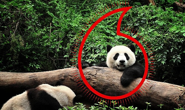 Vodafone ve WWF'ten “Gezegen İçin Bir Milyon Telefon" kampanyası