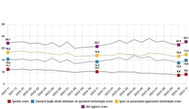 Mevsim etkisinden arındırılmış işsizlik oranı yüzde 9,0 seviyesinde gerçekleşti