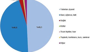 Yurt içinde ikamet eden 19 milyon 467 bin kişi seyahate çıktı