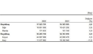 Büyükbaş hayvan sayısı bir önceki yıla göre yüzde 2,6 azalarak 16 milyon 583 bin baş oldu