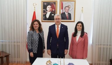 EÜ Hemşirelik Fakültesinden İnmeli Hastalara Özgü Sanat Temelli Aktiviteler Projesi