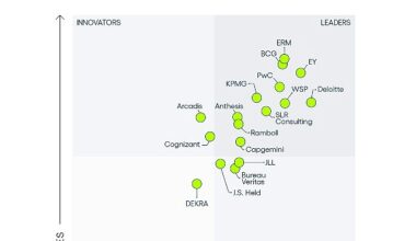 EY, ESG ve Sürdürülebilirlik Danışmanlığı alanında 2024 küresel pazar lideri oldu