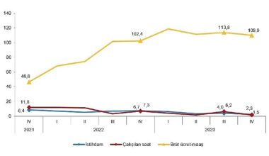 TÜİK: İstihdam endeksi yıllık %2,3 arttı