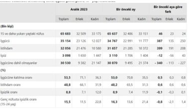 TÜİK: Mevsim etkisinden arındırılmış işsizlik oranı %8,8 seviyesinde gerçekleşti