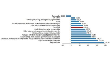 TÜİK: Tarım ürünleri üretici fiyat endeksi (Tarım-ÜFE) yıllık %57,85, aylık %3,85 arttı