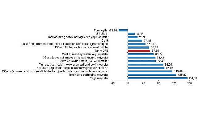 TÜİK: Tarım ürünleri üretici fiyat endeksi (Tarım-ÜFE) yıllık %57,85, aylık %3,85 arttı