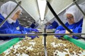 Türkiye organik ürün ihracatında 1 milyar dolar sınırını aştı yeni ihracat hedefi 2 milyar dolar