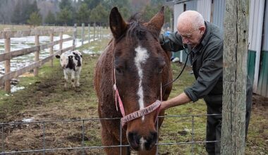 “Yetenekli Dr. Pol"un Yeni Sezonu Şubat Ayında National Geographic WILD Ekranlarında