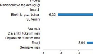 Yurt İçi Üretici Fiyat Endeksi, Ocak 2024