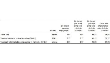 Tüik: Tarımsal girdi fiyat endeksi (Tarım-GFE) yıllık %45,11, aylık %7,51 arttı