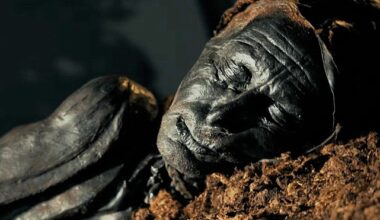 'Antik Bedenlerin Gizli Sırları' 21 Nisan Pazar 20.00'de National Geographic Ekranlarında!