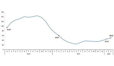 Tüik: Tarımsal girdi fiyat endeksi (Tarım-GFE) yıllık %49,92, aylık %3,59 arttı