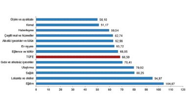 Tüik: Tüketici fiyat endeksi (TÜFE) yıllık %68,50, aylık %3,16 arttı