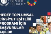 UN Global Compact Hedef Toplumsal Cinsiyet Eşitliği Programı Başvuruları Açıldı!