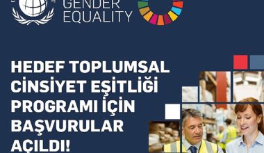UN Global Compact Hedef Toplumsal Cinsiyet Eşitliği Programı Başvuruları Açıldı! UN Global Compact Hedef Toplumsal Cinsiyet Eşitliği Programı Başvuruları Açıldı!