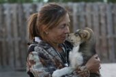 'Yukon Veterineri'ne Saygı Özel Bölümü National Geographic WILD Ekranlarında!