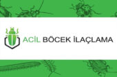 Böcek İlaçlama
