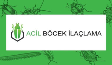 Böcek İlaçlama