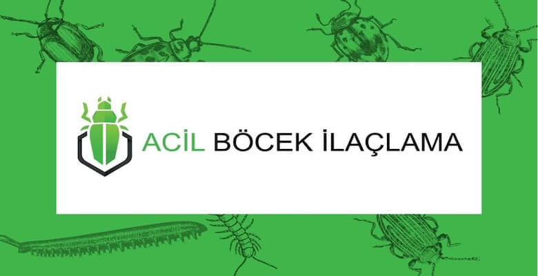 Böcek İlaçlama