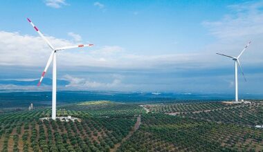 Enerjisa Üretim, Rüzgar Günü Zirvesi ile yenilenebilir enerjinin geleceğimizdeki önemine dikkat çekiyor