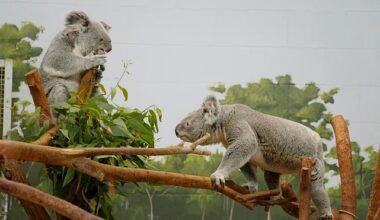 ‘Tampa’nın Sırları: Sevgililer Özel’ 15 Mayıs Çarşamba Günü 20.00’de National Geographic WILD Ekranlarında!