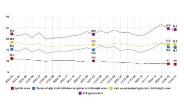 Tüik: Mevsim etkisinden arındırılmış işsizlik oranı %8,6 seviyesinde gerçekleşti