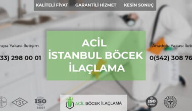 İstanbul Böcek İlaçlama: Evdeki Haşerelerden Kurtulmanın Uzman Yöntemi