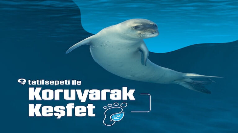 Tatilde Doğayı Koruyarak Keşfedin