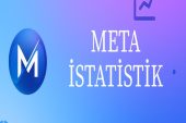 Meta İstatistik: SPSS Yardımı’nın Ardından Yeni Bir Adım