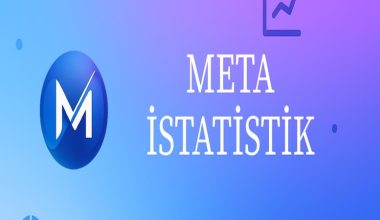 Meta İstatistik: SPSS Yardımı’nın Ardından Yeni Bir Adım