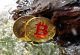 Stratejik Bitcoin Rezervi: Dijital Altın mı, Riskli Bir Hamle mi?