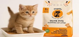 Kediniz ve dünya için devrim: Zeytin çekirdeğinden kedi kumu neden popüler?