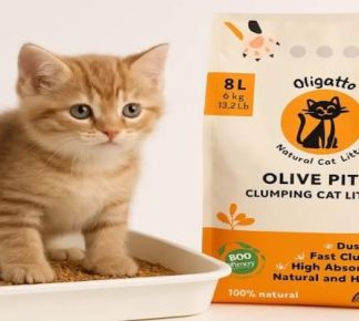 Kediniz ve dünya için devrim: Zeytin çekirdeğinden kedi kumu neden popüler?