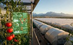 Antalya’da Tarım 2.0